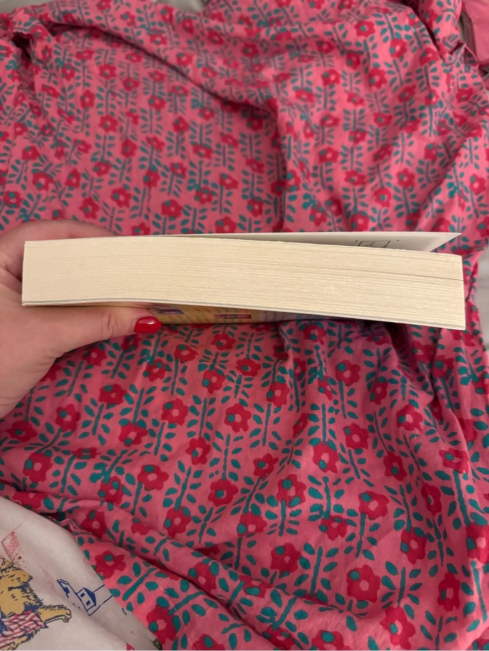 Elin Hilderbrand - Summerland - Paperback - *like new